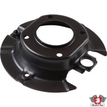 Brake mounting plate, rear, left/right