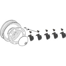 Springs with rivets for hub cap