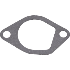 Gasket for intake manifold