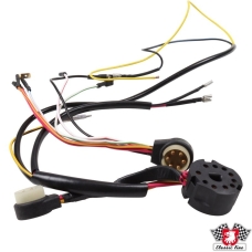Wiring harness for ignition switch including wire 91161201000