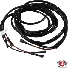 Wiring harness for interior light